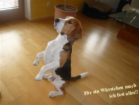 Fr ein Wrstchen mach 







ich fast alles!!