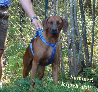 Summer!






"Ich seh nix!"